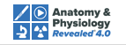 Anatomy & Physiology Revealed 4.0